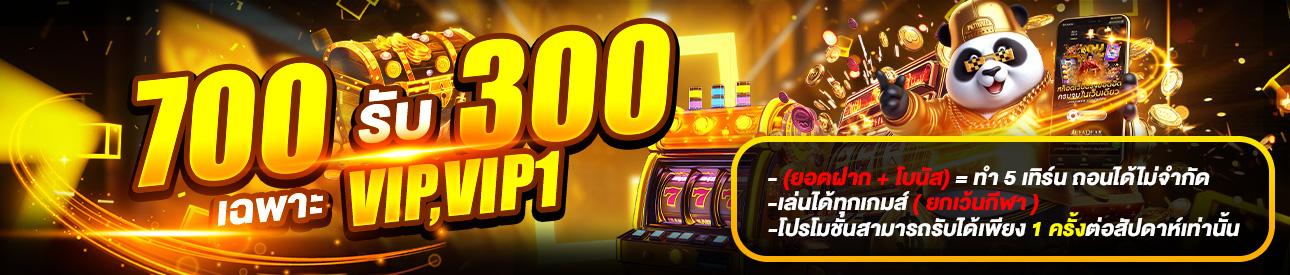 ฝาก 700 รับเพิ่ม 300 ( VIP,VIP1 )